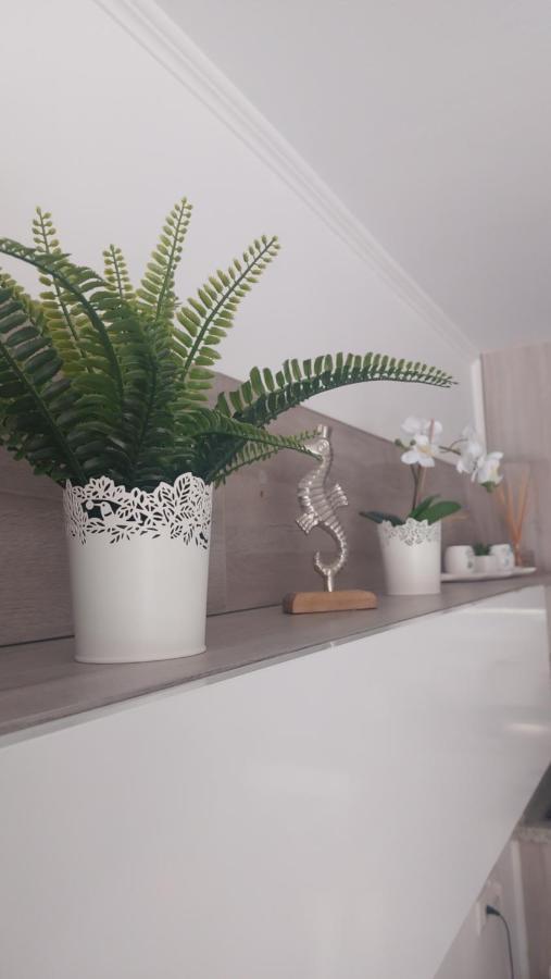 Apartamento Margarita Con Piscina En Playa Honda, Playa Las Americas Arona  Exteriér fotografie