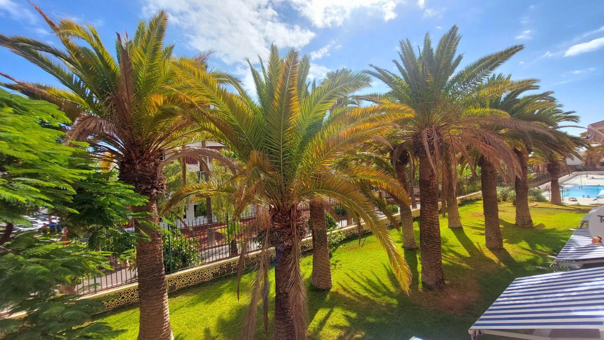Apartamento Margarita Con Piscina En Playa Honda, Playa Las Americas Arona  Exteriér fotografie